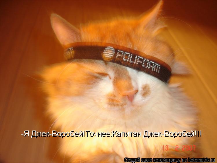 -Я Джек-Воробей!Точнее:Капитан Джек-Воробей!!!... Котоматрица: -Я Джек-Воробей!Точнее:Капитан Джек-Воробей!!!