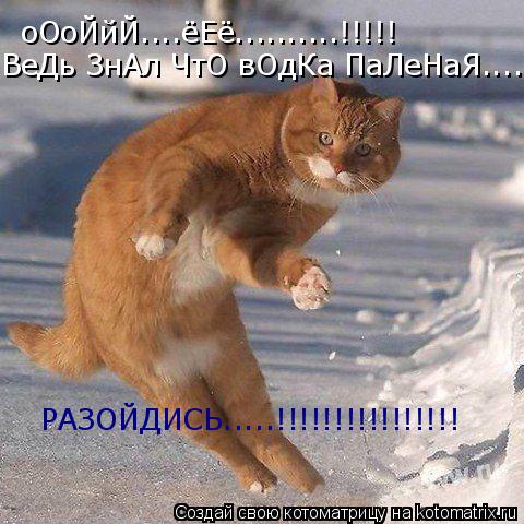 оОоЙйЙ....ёЕё..........!!!!! ВеДь ЗнАл ЧтО вОдКа ПаЛеНаЯ........ РАЗОЙДИСЬ.....!!!!!!!!!!!!!!!!... Котоматрица: оОоЙйЙ....ёЕё..........!!!!! ВеДь ЗнАл ЧтО вОдКа ПаЛеНаЯ........ РАЗОЙДИСЬ.....!!!!!!!!!!!!!!!!