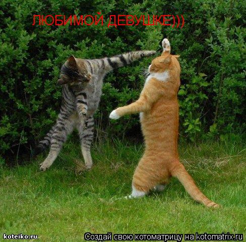 ЛЮБИМОЙ ДЕВУШКЕ)))... Котоматрица: ЛЮБИМОЙ ДЕВУШКЕ)))