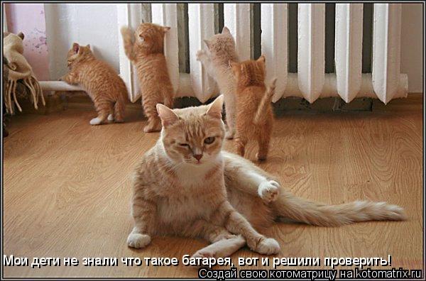 Мои дети не знали что такое батарея, вот и решили проверить!... Котоматрица: Мои дети не знали что такое батарея, вот и решили проверить!