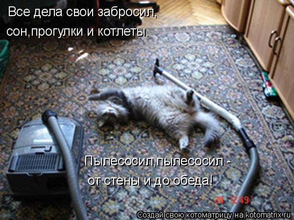 Все дела свои забросил, сон,прогулки и котлеты. Пылесосил,пылесосил - от стены и до обеда!... Котоматрица: Все дела свои забросил, сон,прогулки и котлеты. Пылесосил,пылесосил - от стены и до обеда!
