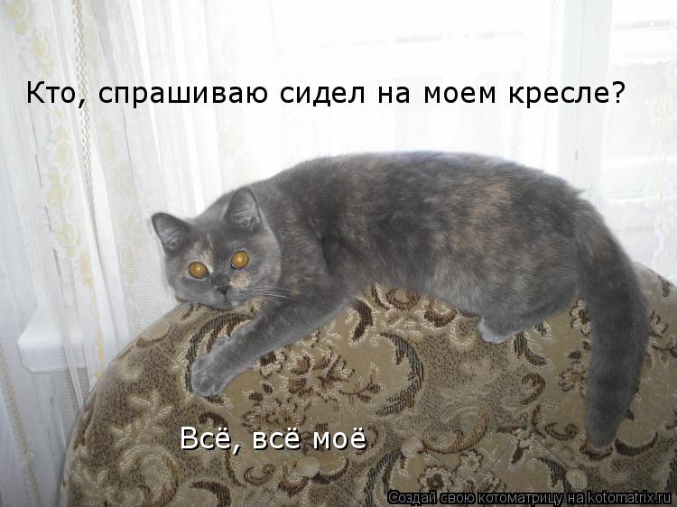 Кто, спрашиваю сидел на моем кресле? Всё, всё моё... Котоматрица: Кто, спрашиваю сидел на моем кресле? Всё, всё моё