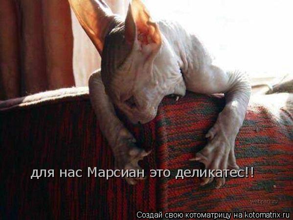 для нас Марсиан это деликатес!!... Котоматрица: для нас Марсиан это деликатес!!