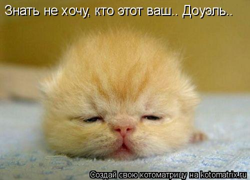 Знать не хочу, кто этот ваш.. Доуэль..... Котоматрица: Знать не хочу, кто этот ваш.. Доуэль..