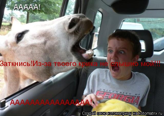 ААААА! Заткнись!Из-за твоего крика не слышно мой!!! АААААААААААААААА!... Котоматрица: ААААА! Заткнись!Из-за твоего крика не слышно мой!!! АААААААААААААААА!