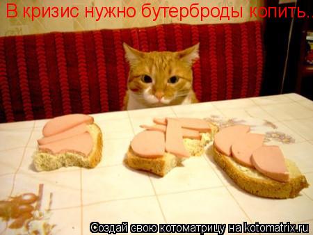 В кризис нужно бутерброды копить....... Котоматрица: В кризис нужно бутерброды копить....