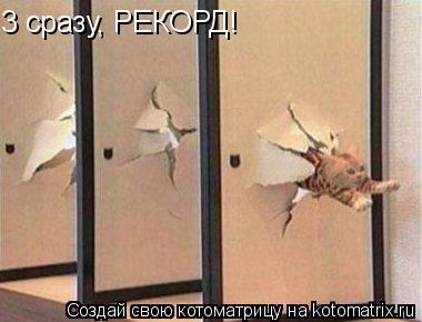 3 сразу, РЕКОРД!... Котоматрица: 3 сразу, РЕКОРД!
