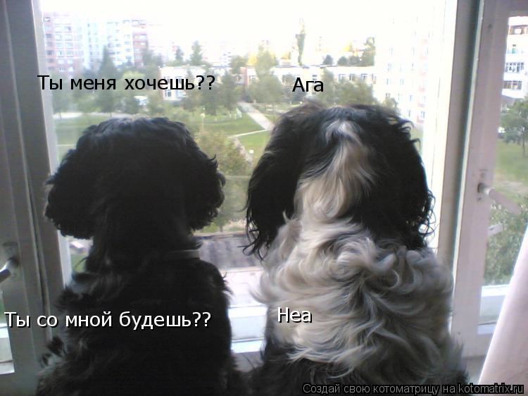 Ты меня хочешь?? Ага Ты со мной будешь?? Неа... Котоматрица: Ты меня хочешь?? Ага Ты со мной будешь?? Неа