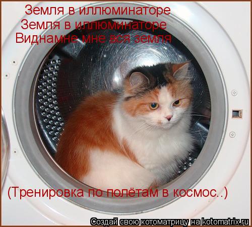 Земля в иллюминаторе Земля в иллюминаторе (Тренировка по полётам в космос..) Виднамне мне вся земля... Котоматрица: Земля в иллюминаторе Земля в иллюминаторе (Тренировка по полётам в космос..) Виднамне мне вся земля