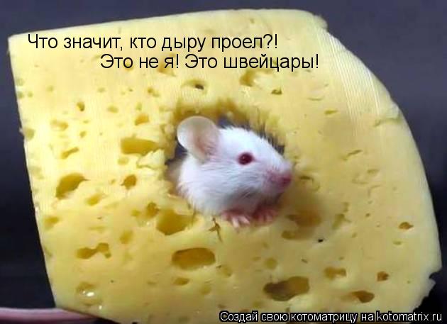 Что значит, кто дыру проел?! Это не я! Это швейцары!... Котоматрица: Что значит, кто дыру проел?! Это не я! Это швейцары!