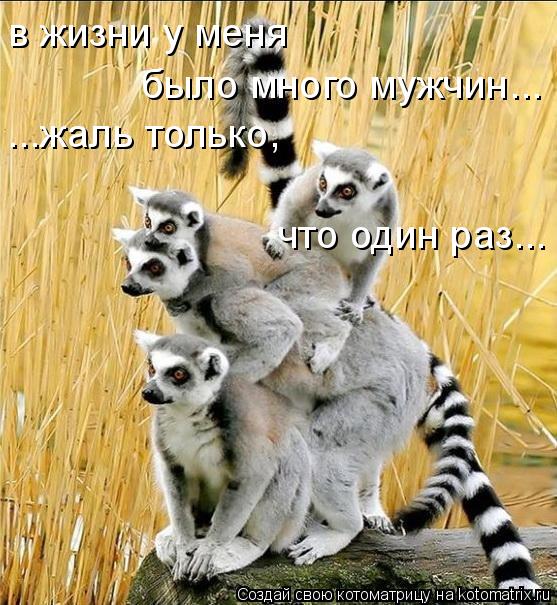 в жизни у меня было много мужчин... ...жаль только, что один раз...... Котоматрица: в жизни у меня было много мужчин... ...жаль только, что один раз...