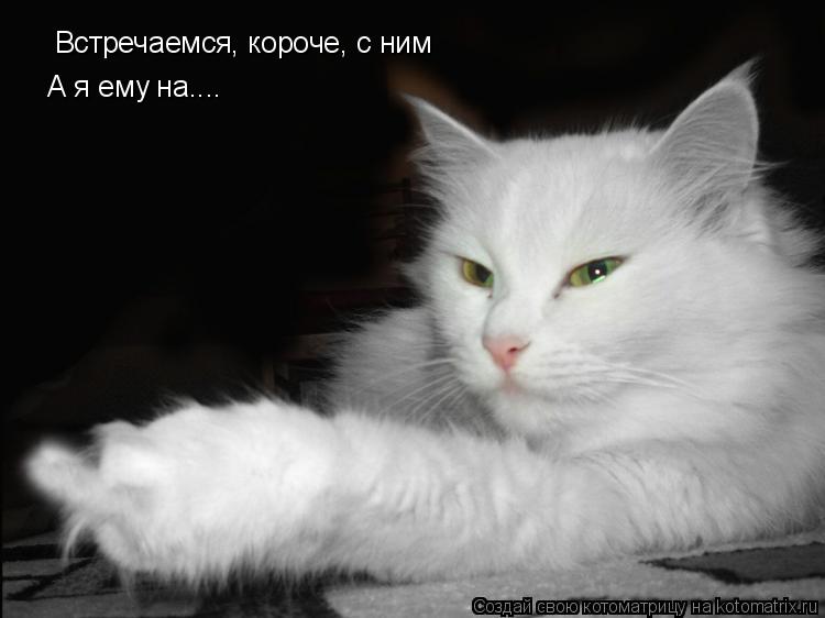 Встречаемся, короче, с ним Встречаемся, короче, с ним А я ему на....... Котоматрица: Встречаемся, короче, с ним Встречаемся, короче, с ним А я ему на....