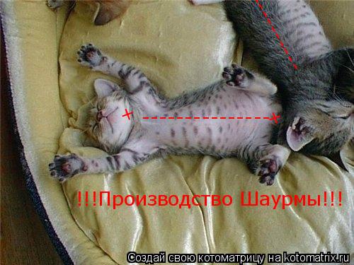 --------------- + + ----------------- !!!Производство Шаурмы!!!... Котоматрица: --------------- + + ----------------- !!!Производство Шаурмы!!!