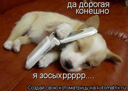 да дорогая конешно я зосыхррррр....... Котоматрица: да дорогая конешно я зосыхррррр....