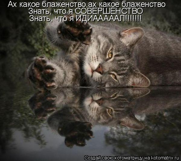 Ах какое блаженство,ах какое блаженство Знать, что я СОВЕРШЕНСТВО Знать, что я ИДИАААААЛ!!!!!!!... Котоматрица: Ах какое блаженство,ах какое блаженство Знать, что я СОВЕРШЕНСТВО Знать, что я ИДИАААААЛ!!!!!!!