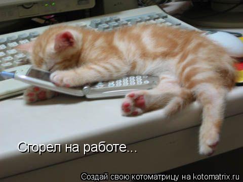 Сгорел на работе...... Котоматрица: Сгорел на работе...