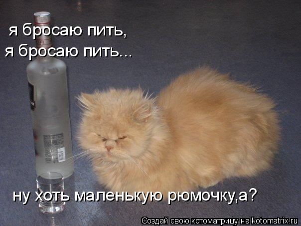 я бросаю пить, я бросаю пить... ну хоть маленькую рюмочку,а?... Котоматрица: я бросаю пить, я бросаю пить... ну хоть маленькую рюмочку,а?