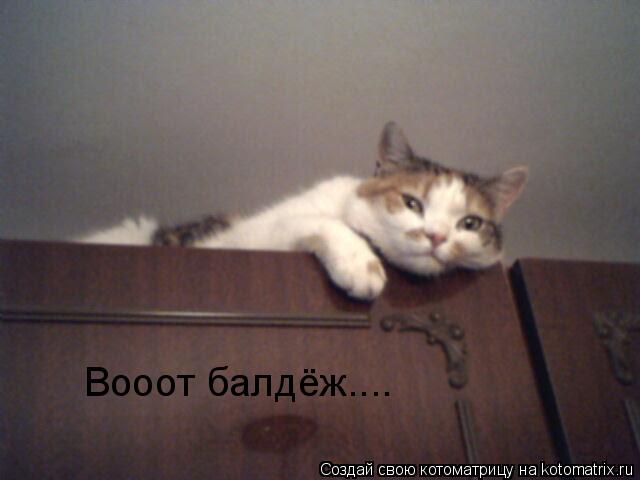 Вoooт балдёж....... Котоматрица: Вoooт балдёж....