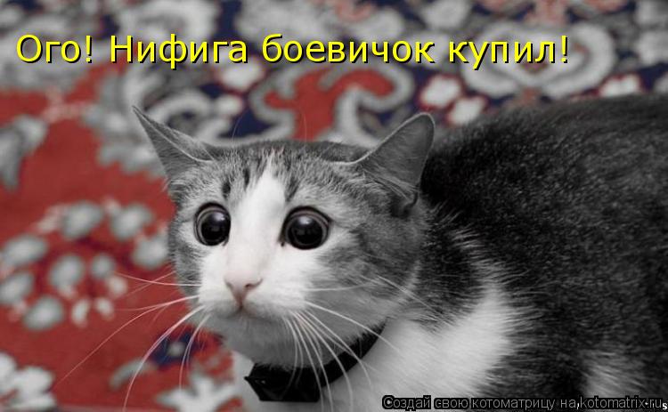 Ого! Нифига боевичок купил!... Котоматрица: Ого! Нифига боевичок купил!