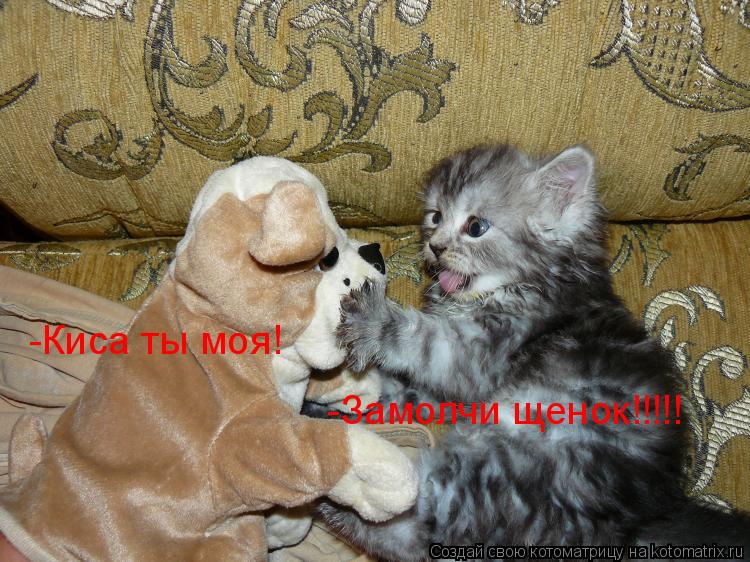 -Киса ты моя! -Замолчи щенок!!!!!... Котоматрица: -Киса ты моя! -Замолчи щенок!!!!!
