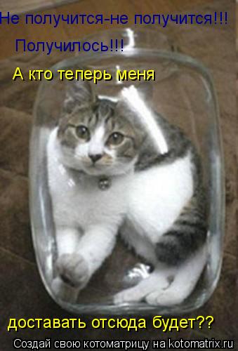 Не получится-не получится!!! Получилось!!! А кто теперь меня доставать отсюда будет??... Котоматрица: Не получится-не получится!!! Получилось!!! А кто теперь меня доставать отсюда будет??