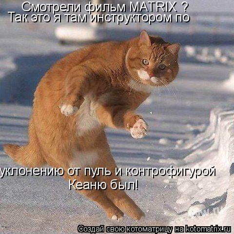 Смотрели фильм MATRIX ? Так это я там инструктором по уклонению от пуль и контрофигурой Кеаню был!... Котоматрица: Смотрели фильм MATRIX ? Так это я там инструктором по уклонению от пуль и контрофигурой Кеаню был!