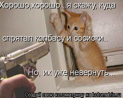 Хорошо,хорошо...я скажу, куда спрятал колбасу и сосиски.. Но, их уже невернуть...... Котоматрица: Хорошо,хорошо...я скажу, куда спрятал колбасу и сосиски.. Но, их уже невернуть...