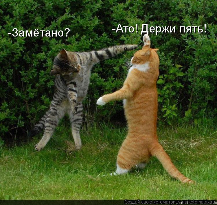 -Замётано? -Ато! Держи пять!... Котоматрица: -Замётано? -Ато! Держи пять!