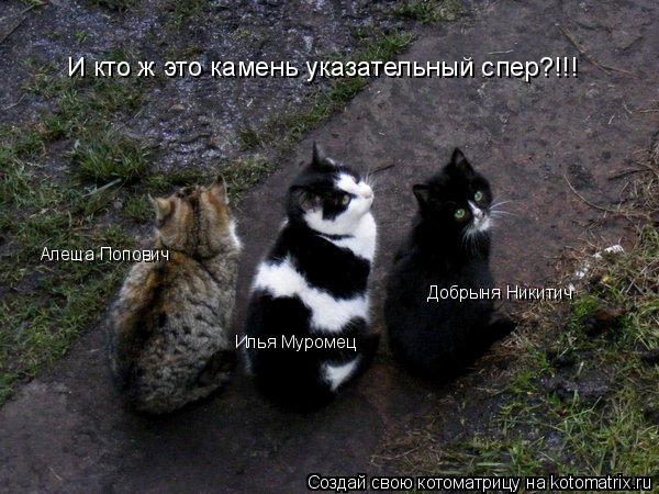 Алеша Попович Добрыня Никитич Илья Муромец И кто ж это камень указательный спер?!!!... Котоматрица: Алеша Попович Добрыня Никитич Илья Муромец И кто ж это камень указательный спер?!!!