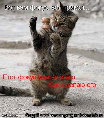 Вот вам фокус, вот прикол... Етот фокус сам не знаю, Как я делаю его... Котоматрица: Вот вам фокус, вот прикол... Етот фокус сам не знаю, Как я делаю его