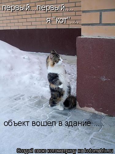 первый...первый.... я "кот".... объект вошел в здание......... Котоматрица: первый...первый.... я "кот".... объект вошел в здание......