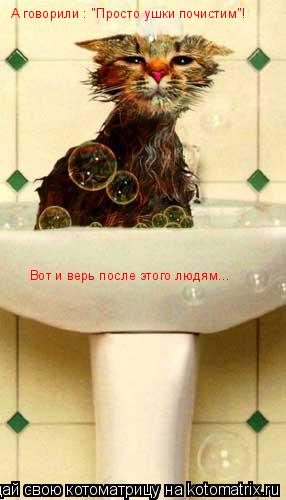 А говорили : "Просто ушки почистим"! Вот и верь после этого людям...... Котоматрица: А говорили : "Просто ушки почистим"! Вот и верь после этого людям...
