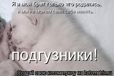 Я и мой брат только что родились , и мы не можем сами себе менять подгузники!... Котоматрица: Я и мой брат только что родились , и мы не можем сами себе менять подгузники!
