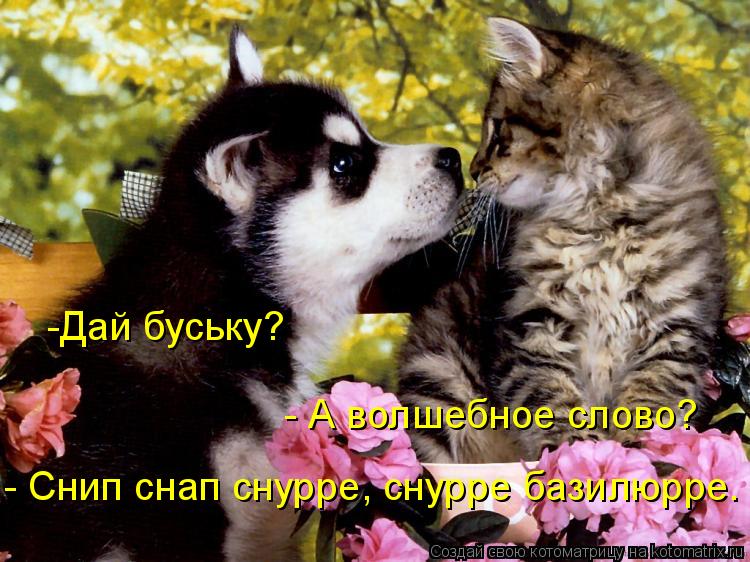 -Дай буську? - А волшебное слово? - Снип снап снурре, снурре базилюрре.... Котоматрица: -Дай буську? - А волшебное слово? - Снип снап снурре, снурре базилюрре.