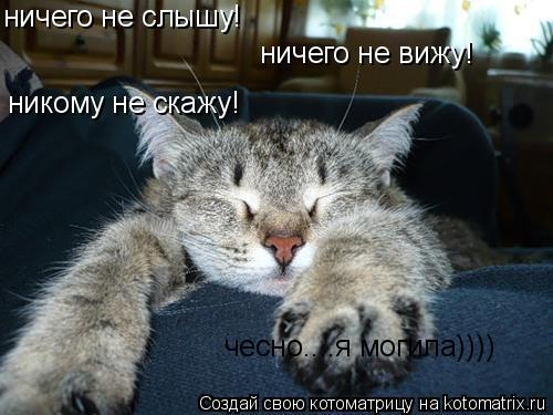 ничего не слышу! ничего не вижу! никому не скажу! чесно....я могила))))... Котоматрица: ничего не слышу! ничего не вижу! никому не скажу! чесно....я могила))))