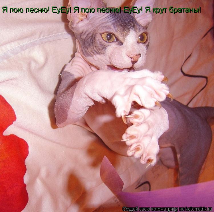 Я пою песню! ЕуЕу! Я пою песню! ЕуЕу! Я крут братаны!... Котоматрица: Я пою песню! ЕуЕу! Я пою песню! ЕуЕу! Я крут братаны!