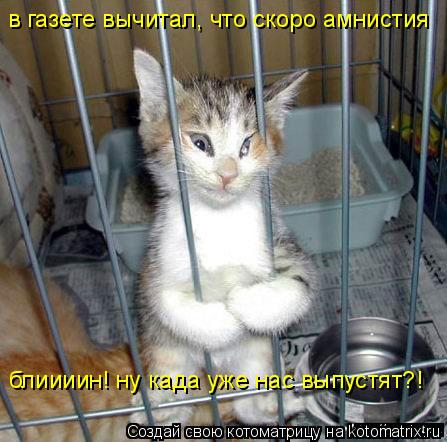 в газете вычитал, что скоро амнистия блиииин! ну када уже нас выпустят?!... Котоматрица: в газете вычитал, что скоро амнистия блиииин! ну када уже нас выпустят?!