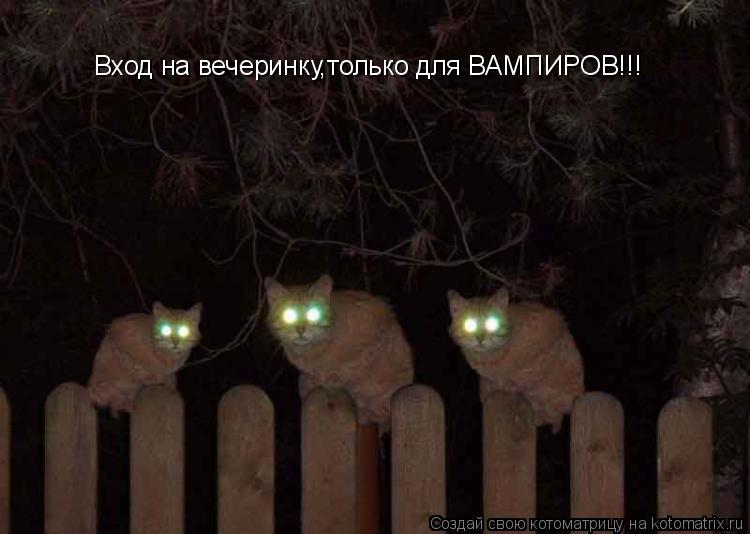 Вход на вечеринку,только для ВАМПИРОВ!!!... Котоматрица: Вход на вечеринку,только для ВАМПИРОВ!!!