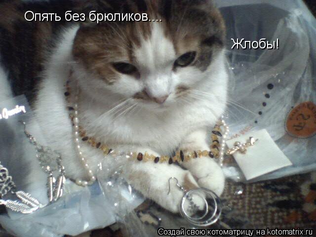 Опять без брюликов.... Жлобы!... Котоматрица: Опять без брюликов.... Жлобы!