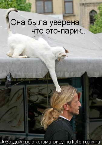 Она была уверена что это-парик..... Котоматрица: Она была уверена что это-парик..