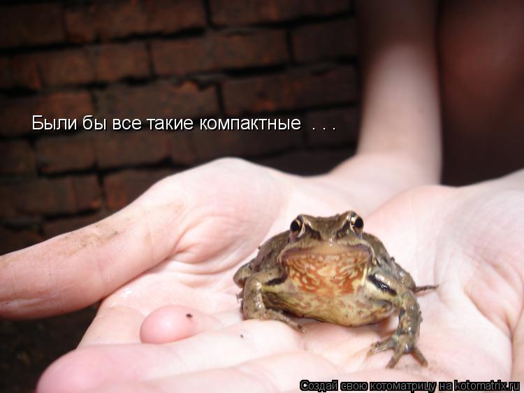 Были бы все такие компактные . . .... Котоматрица: Были бы все такие компактные . . .