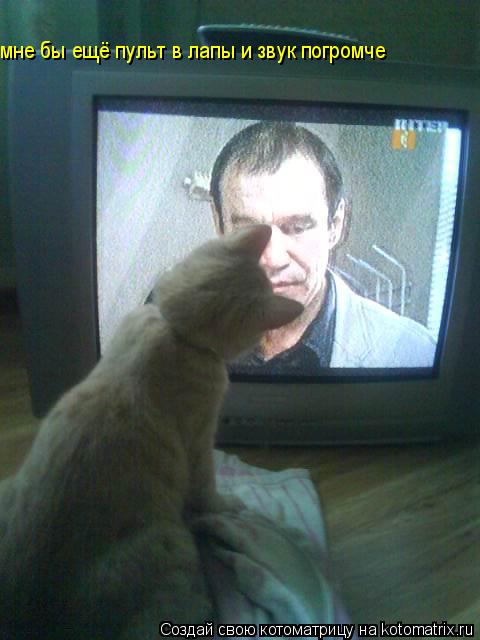 мне бы ещё пульт в лапы и звук погромче мне бы ещё пульт в лапы и звук погромче... Котоматрица: мне бы ещё пульт в лапы и звук погромче мне бы ещё пульт в лапы и звук погромче