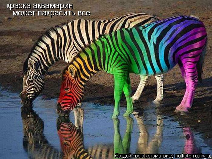 краска аквамарин может пакрасить все... Котоматрица: краска аквамарин может пакрасить все
