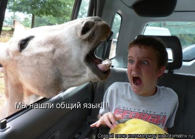 Мы нашли общий язык!!!... Котоматрица: Мы нашли общий язык!!!