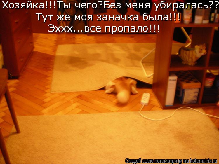 Хозяйка!!!Ты чего?Без меня убиралась??? Тут же моя заначка была!!! Эххх...все пропало!!!... Котоматрица: Хозяйка!!!Ты чего?Без меня убиралась??? Тут же моя заначка была!!! Эххх...все пропало!!!