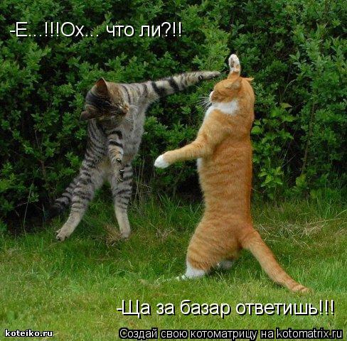 -Е...!!!Ох... что ли?!! -Ща за базар ответишь!!!... Котоматрица: -Е...!!!Ох... что ли?!! -Ща за базар ответишь!!!