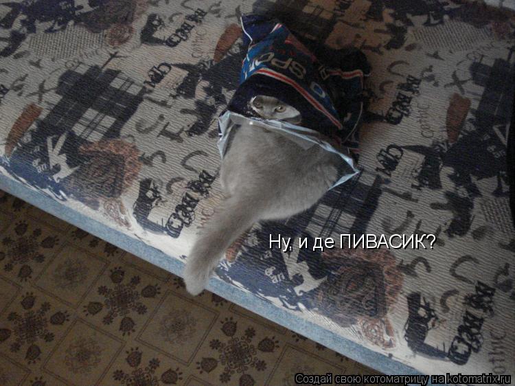 Ну, и де ПИВАСИК?... Котоматрица: Ну, и де ПИВАСИК?