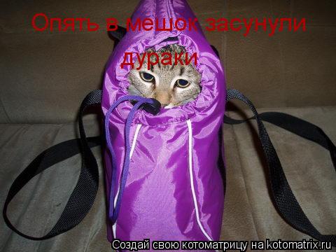Опять в мешок засунули дураки... Котоматрица: Опять в мешок засунули дураки