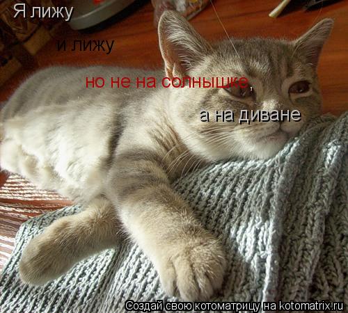 Я лижу и лижу но не на солнышке , а на диване... Котоматрица: Я лижу и лижу но не на солнышке , а на диване