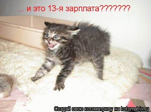 ... и это 13-я зарплата???????... Котоматрица: ... и это 13-я зарплата???????